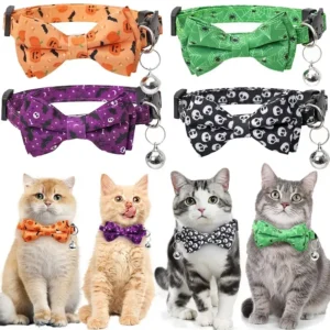 Inicio Meowtags sd6a61b68410448e59f59a8cfc6329a1en.webp
